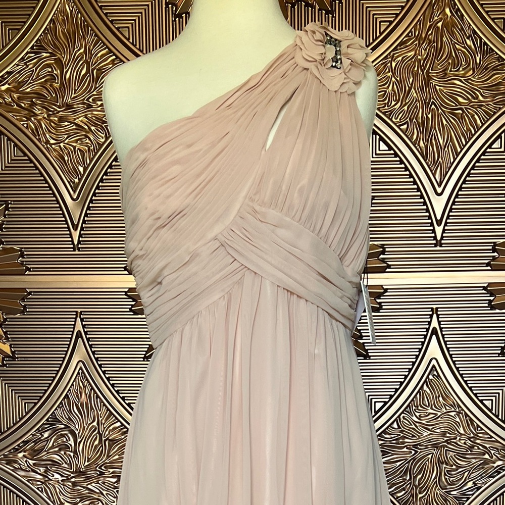 Calvin Klein Soft Blush Chiffon Gown